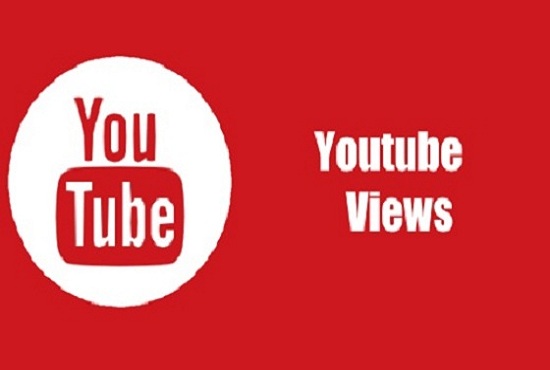 i will get you 1,000 youtube views to rank video