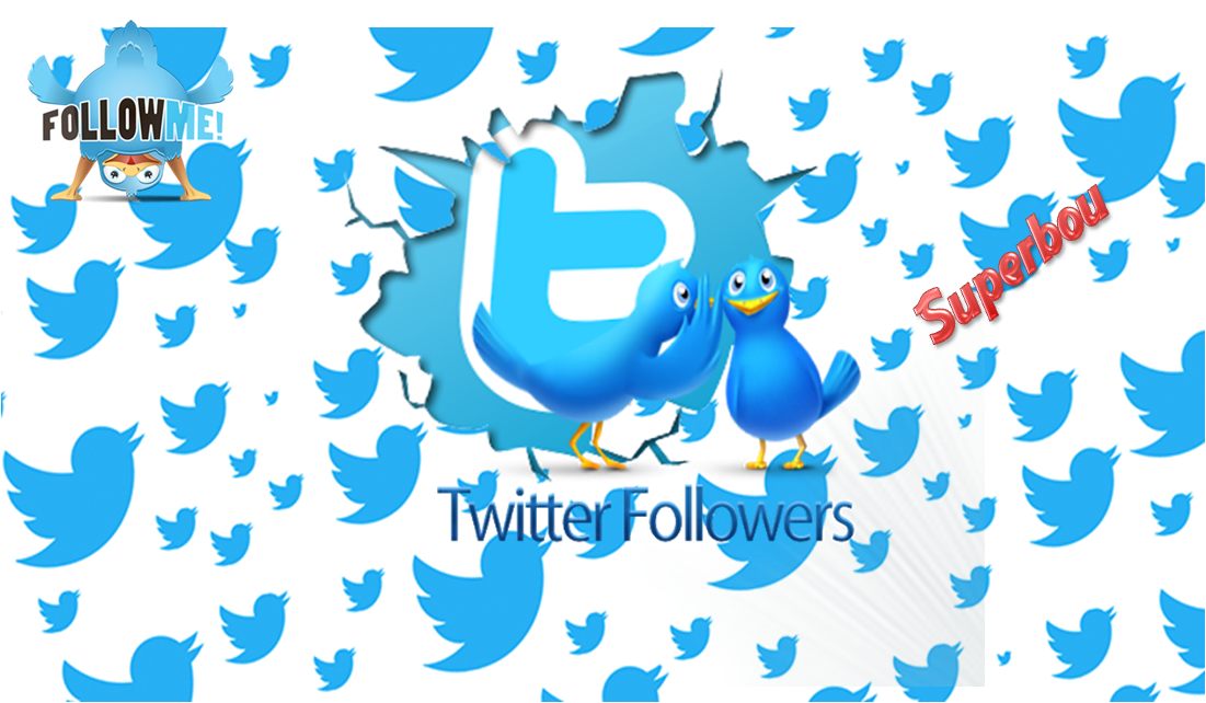 I will Give you 500+ Twitter followers +10 Likes High Quality