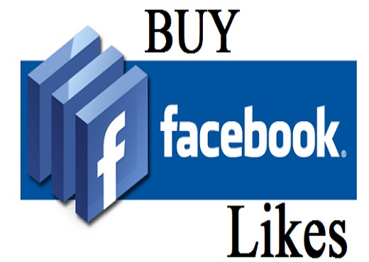 i will add 500 facebook page likes