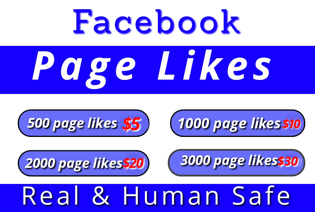 I will provide you 500 facebook page likes