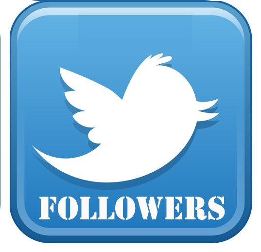 Send 500 Twitter followers for your profile(no refills)