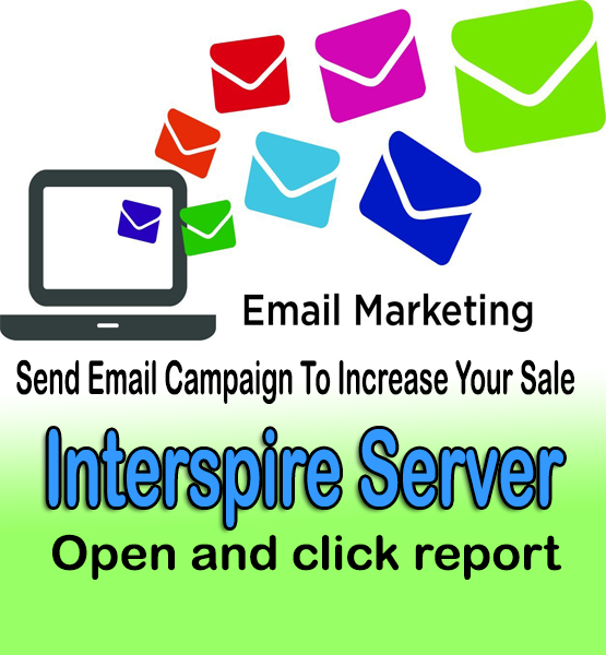 Email marketing campaign for small business owner