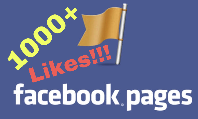 I will add 1000+ Facebook  Page Likes INSTANT !!!