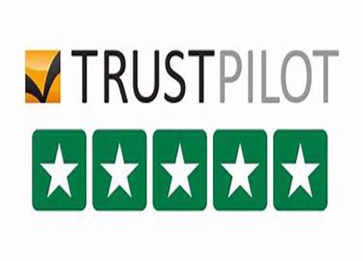 Trust Pilot Custom Reviews To Boost Your Ranking
