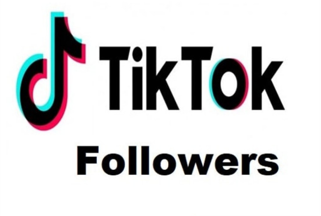I will provide you 500 TIK TOK followers