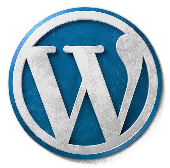 I will design a professional WordPress website
