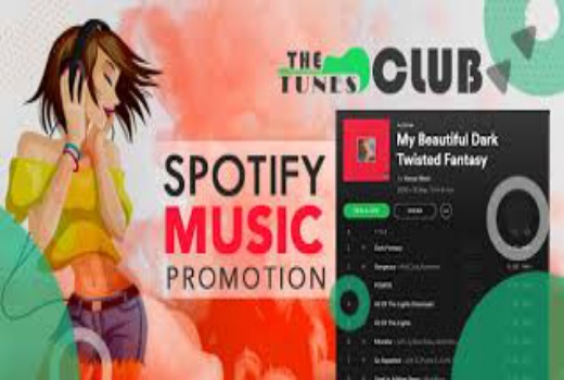High quality Spotify music promotion