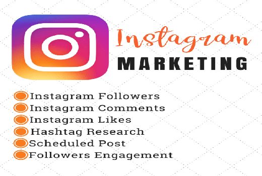I will give you 1000+ organic instagram follower