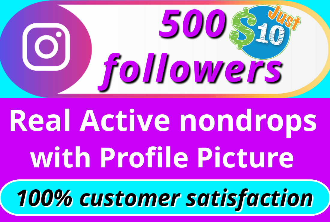I will give you 500 instagram HQ NON DROP REAL followers