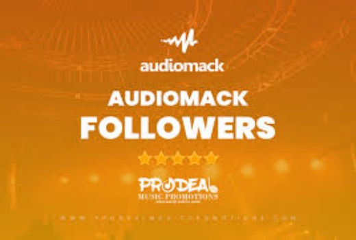i will give 1,000 audiomack followers