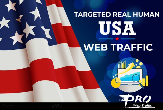 American 30,000 web visitors real targeted Organic USA web traffic From Twitter Instagram Fb LinkedIn Bing Msn Yahoo
