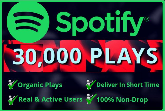 Add Real  30, 000 Spotify Plays HQ – Permanent Non– Drop Life Time Guarantee