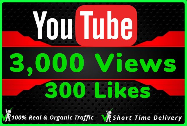 I Will Do HQ NON DROP 3000 Youtube Views and 300 likes