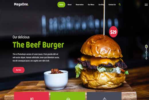 Mega one eye catching website for your business
