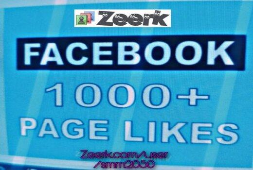 FACEBOOK 2000 Page Like NON DROP GUARANTEED AND INSTANT START