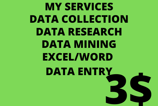 I will do all kind of data entry
