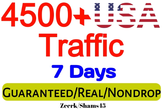 Get 4500+ USA Organic Web Traffic For Your Website, organic and real, active user, Visitors guaranteed