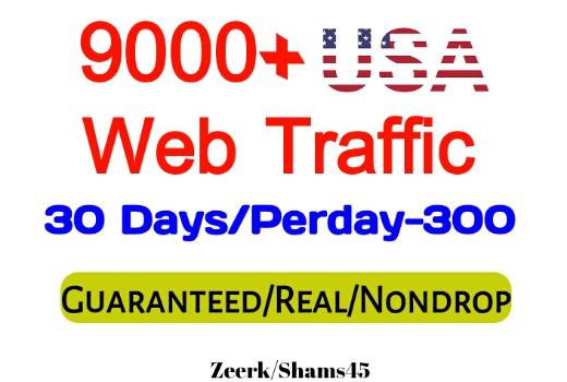 Get 9000+ USA Organic Web Traffic For Your Website,( per day-300, 30 days) organic and real, active user, Real Visitors guaranteed