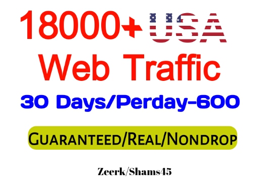 Get 18000+ USA Organic Web Traffic For Your Website,(per day-600, 30 days) organic and real, active user, Real Visitors guaranteed