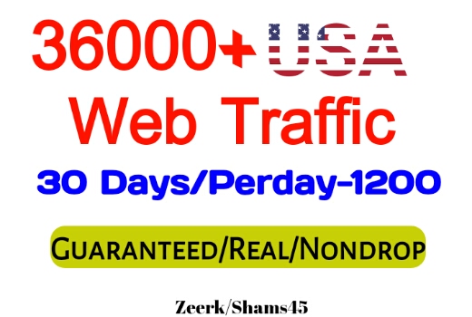 Get 36000+ USA Organic Web Traffic For Your Website,(per day-1200, 30 days) organic and real, active user, Real Visitors guaranteed
