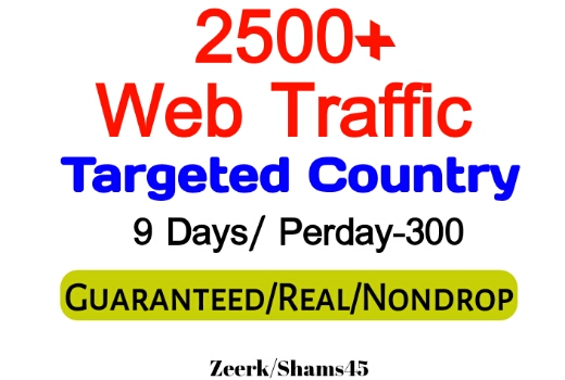 Get 2500+ Country Targeted Organic Web Traffic For Your Website,(per day-300, 9 days) organic and real, active user, Real Visitors guaranteed