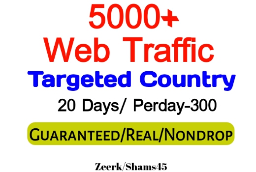 Get 5000+ Country Targeted Organic Web Traffic For Your Website,(per day-300, 20 days) organic and real, active user, Real Visitors guaranteed