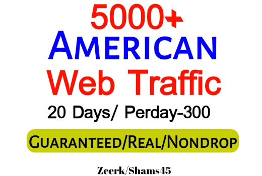 Get 5000+ American Organic Web Traffic For Your Website,(per day-300, 20 days) organic and real, active user, Real Visitors guaranteed