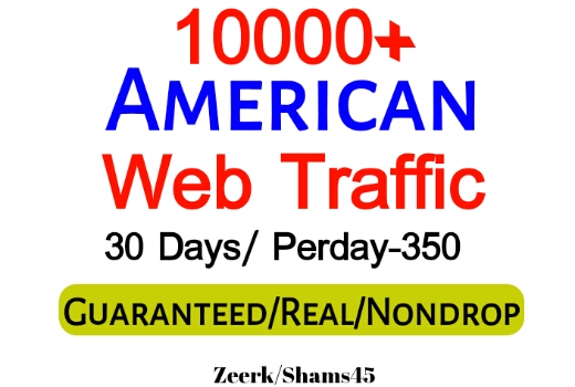 Get 10000+ American Organic Web Traffic For Your Website,(per day-350, 30 days) organic and real, active user, Real Visitors guaranteed
