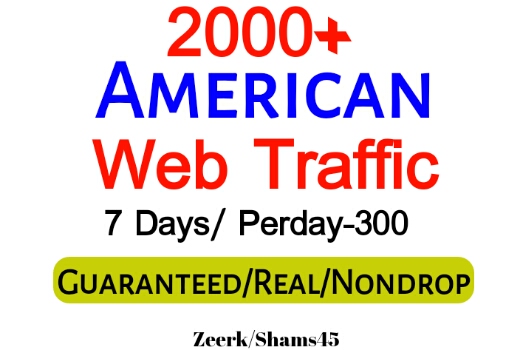 Get 2000+ American Organic Web Traffic For Your Website,(per day-350, 6 days) organic and real, active user, Real Visitors guaranteed