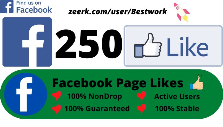 I will give you 250 Facebook Page Likes Non-drop Lifetime Guaranteed