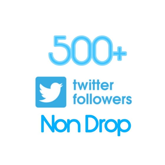 500+ TWITTER FOLLOWER  REAL ACTIVE AND NON DROP