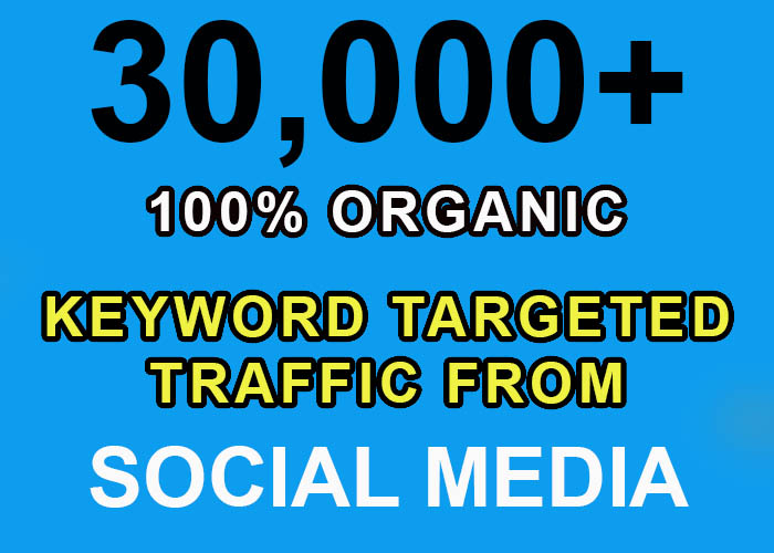30,000+ keyword targeted traffic from google for $3