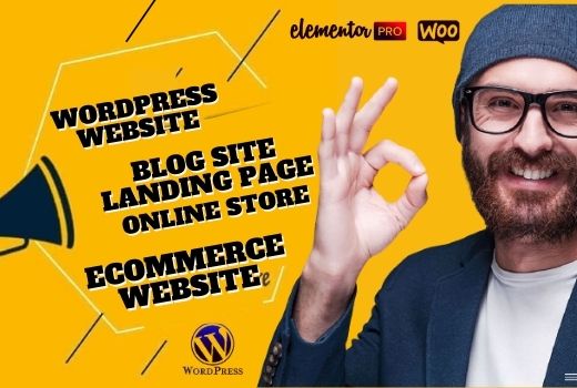 I will design responsive ecommerce website, wordpress website, online store, landing page, blog site, web design, web templates, portfolio website