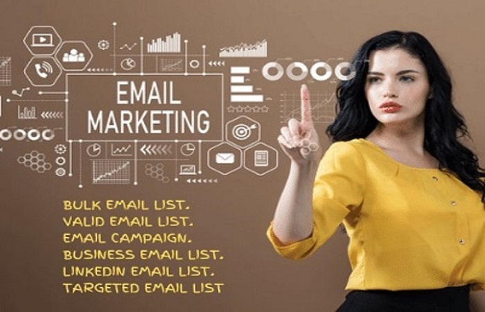 I will give details verified email list marketing and campaign