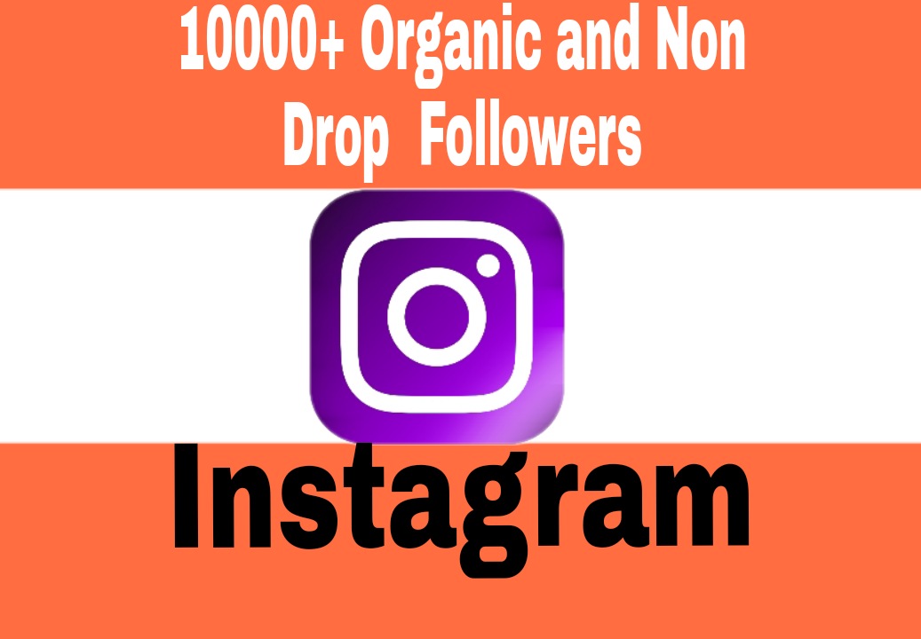 Add 10000+ Non Drop and Exclusive Quality Followers to Your Instagram Post