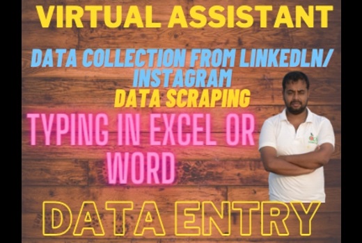 Virtual Assistant, Data Entry, Pdf to Word, Data Collection, Internet Research