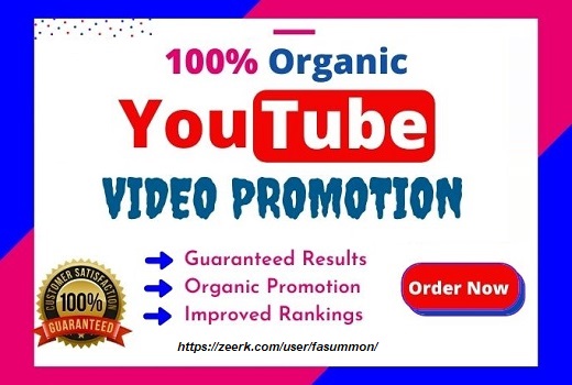 I will do YouTube Video Promotion Organically to Active Audience