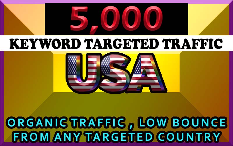 5000 USA organic keyword targeted traffic