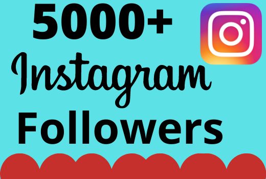 I will add 5000+ real and organic Instagram followers for your business