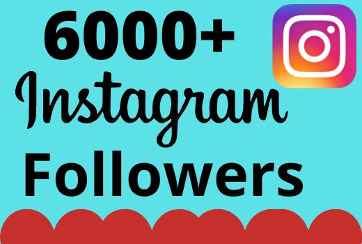 I will add 6000+ real and organic Instagram followers for your business