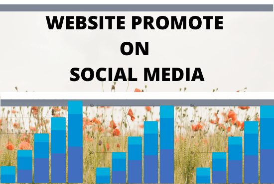 I will rank your website promote on social media