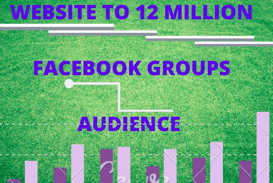 I will deliver your website to 12 miilion group audience