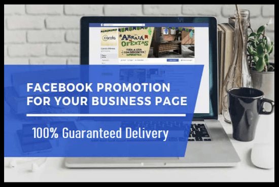 I will do viral organic facebook page promotion