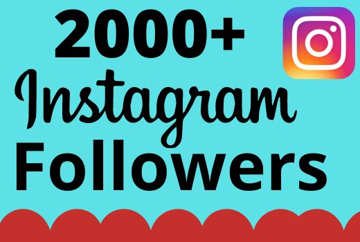 I will add 2000+ real and organic Instagram followers for your business