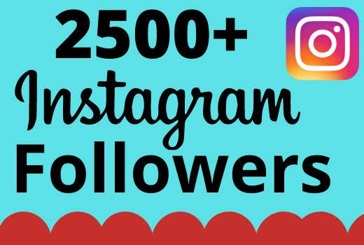 I will add 2500+ real and organic Instagram followers for your business