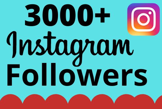 I will add 3000+ real and organic Instagram followers for your business