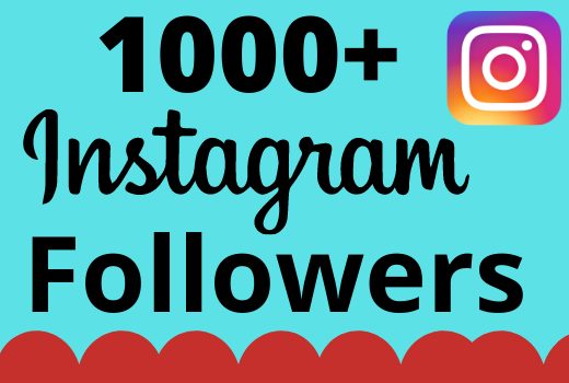 I will add 1000+ real and organic  Instagram followers for your business