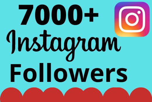 I will add 7000+ real and organic Instagram followers for your business
