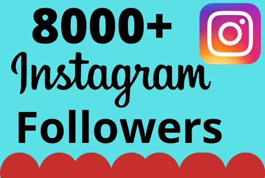 I will add 8000+ real and organic Instagram followers for your business