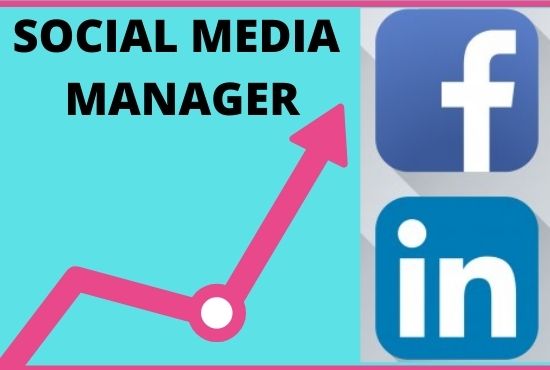 I will be your social media marketing manager on promote your any business